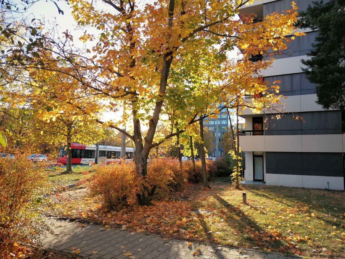 Central-apt At Lake, Citycenter 5min, Fair 18min!!! *